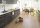 RESTPOSTEN Tilo | Vinyl | Landhausdiele | Elito Trend | Eiche Weiss