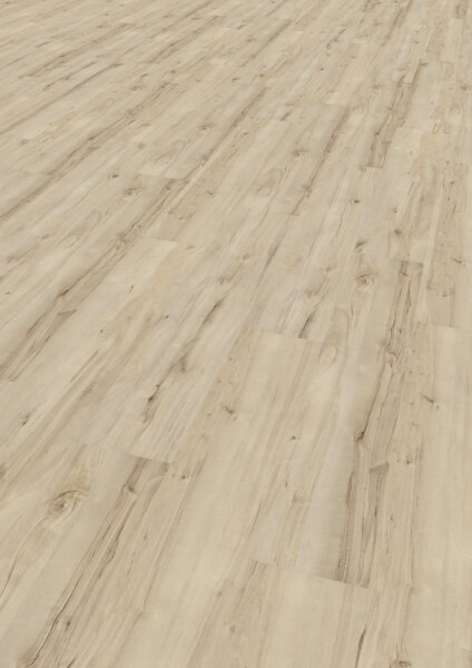 Tilo Vinyl | Fertigboden | Basic | Birke Portland