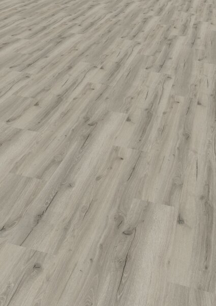 Tilo | Vinyl | Fertigboden | Novo | Eiche Dolomit - softsynchron
