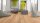 Scheucher Parkett | WOODflor 182 | Landhausdiele Ahorn kanadisch | Rustikal Natura | SEDA