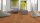 Scheucher Parkett | WOODflor 182 | Landhausdiele Buche ged&auml;mpft | Natur Natura | SEDA