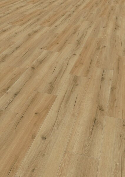Tilo - Klebe Vinyl - Robusto - PRO+ - Eiche Macadamia - softsynchron