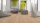 Scheucher Parkett | MULTIflor | Landhausdiele Eiche | Natur Bianca | VALLETTA PUROTEC 11x182x2200 mm