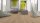 Scheucher Parkett | MULTIflor | Landhausdiele Eiche | Astig Nebla | VALLETTA PUROTEC 11x140x1200